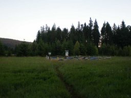2010